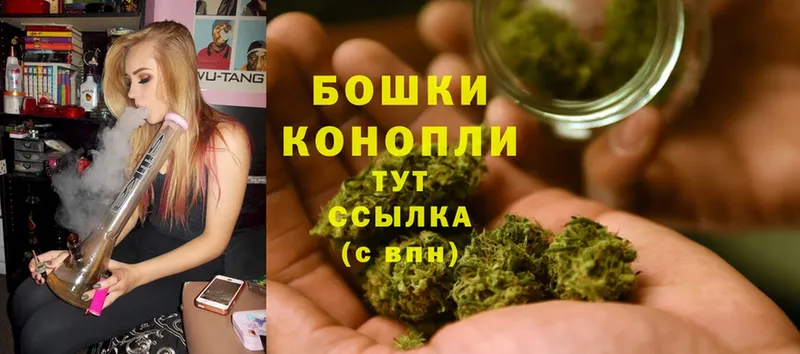 Каннабис OG Kush  как найти закладки  Петровск 